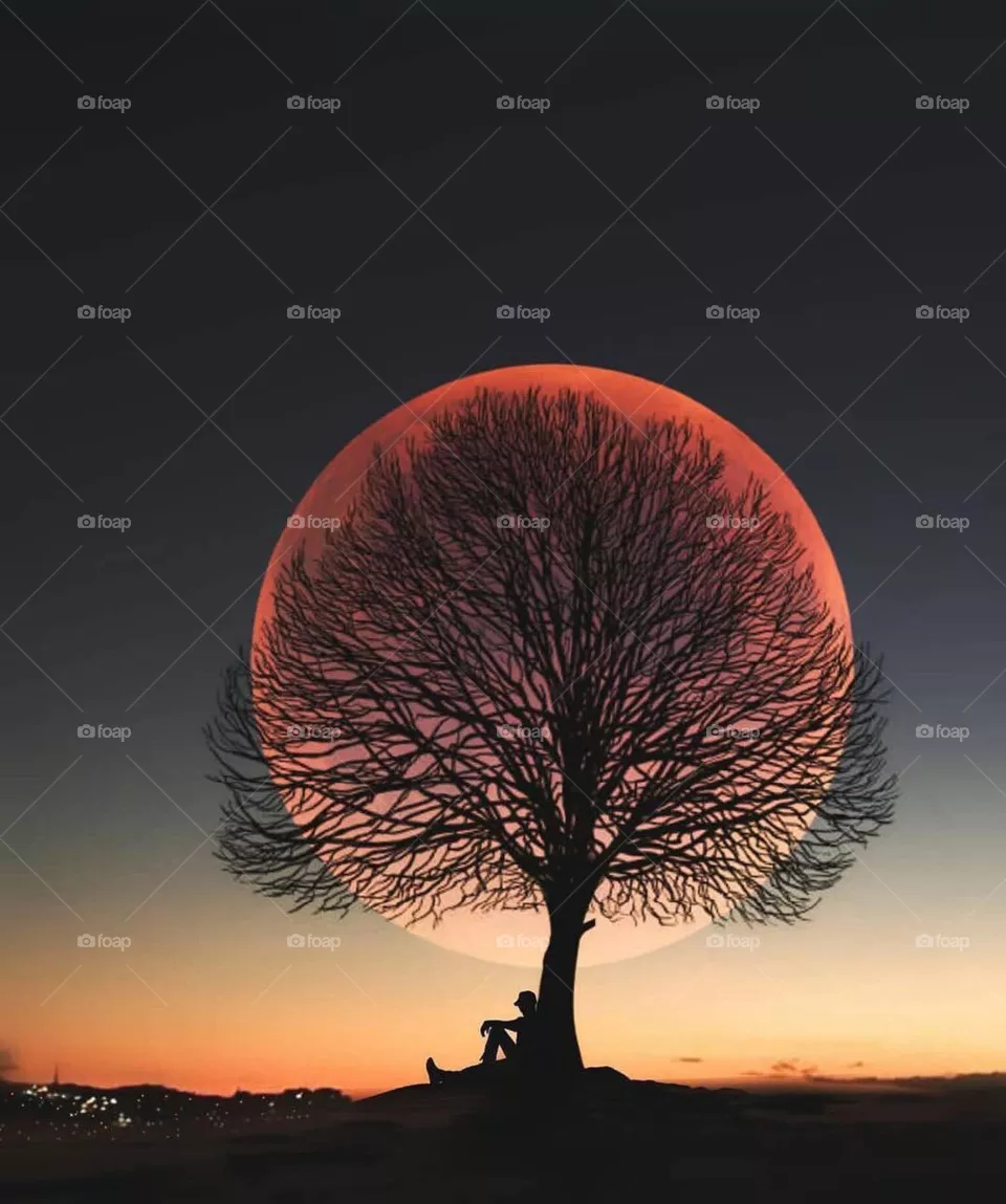 vista