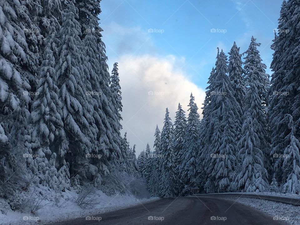 Winter wanderlust 