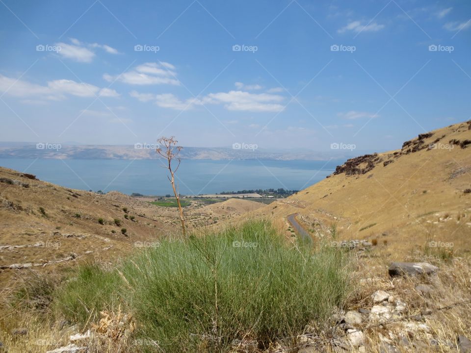Landscape in the Hills. Valley shot in the Golan Heights, Israel. 
