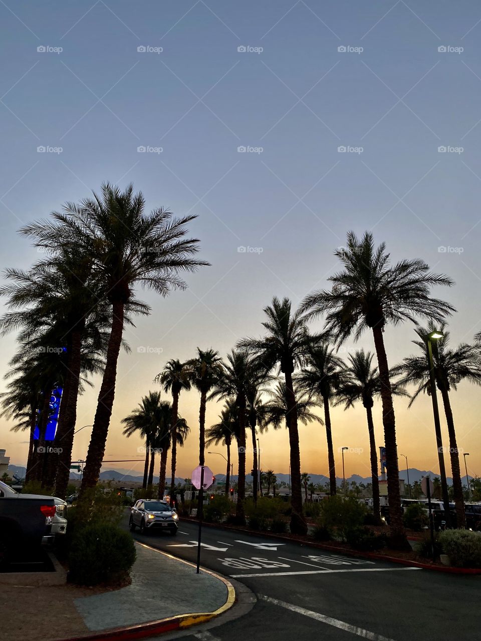 Sunset in Laughlin Nevada with palm trees in front of it