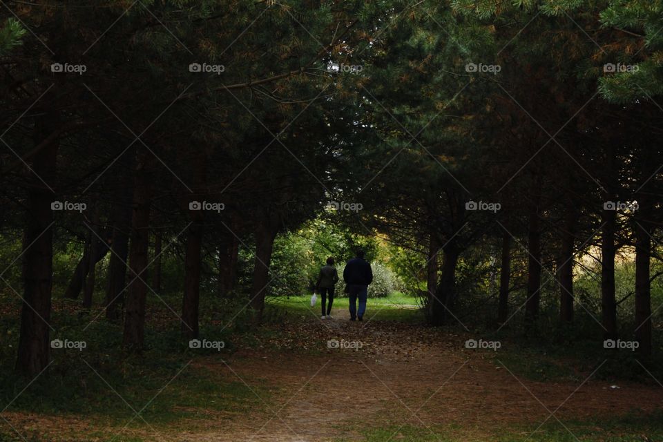 Walking in the autumn Park.