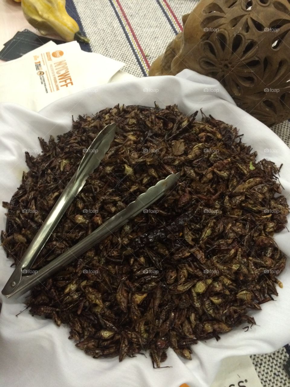 Bug snacks Nyc nywff 2016