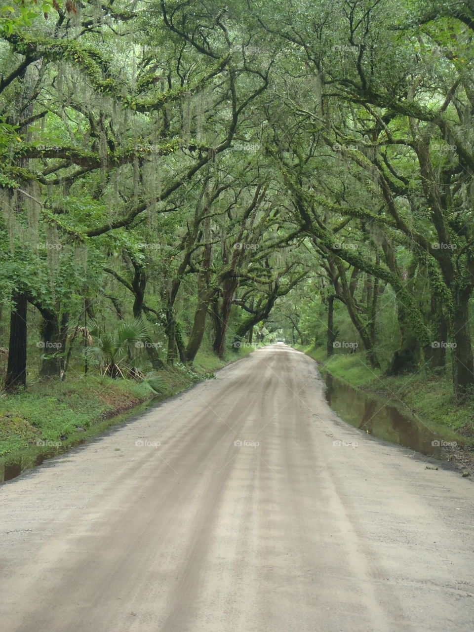 Country road