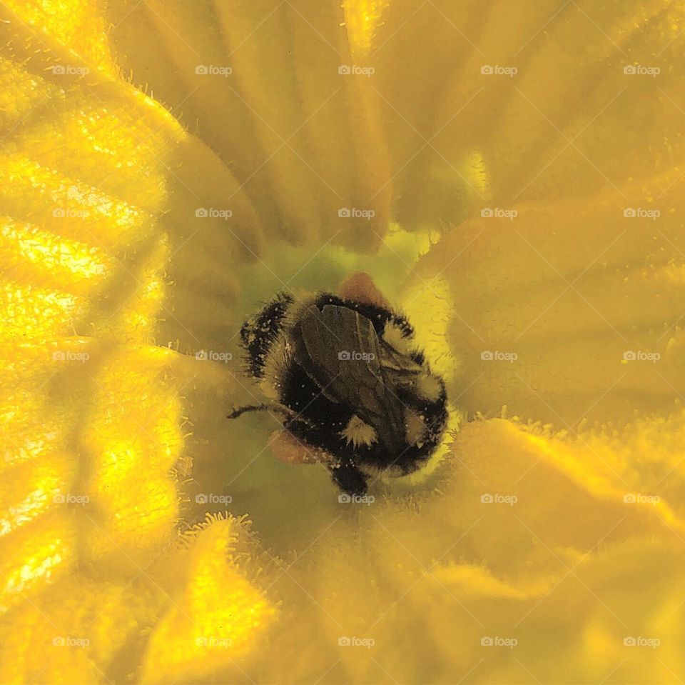 Getting in a quick nap