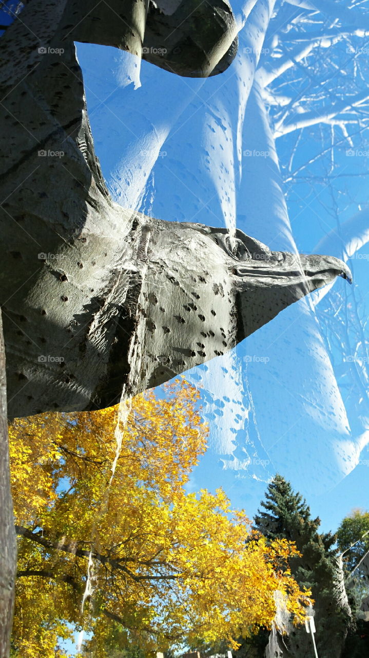 in flight. in flight