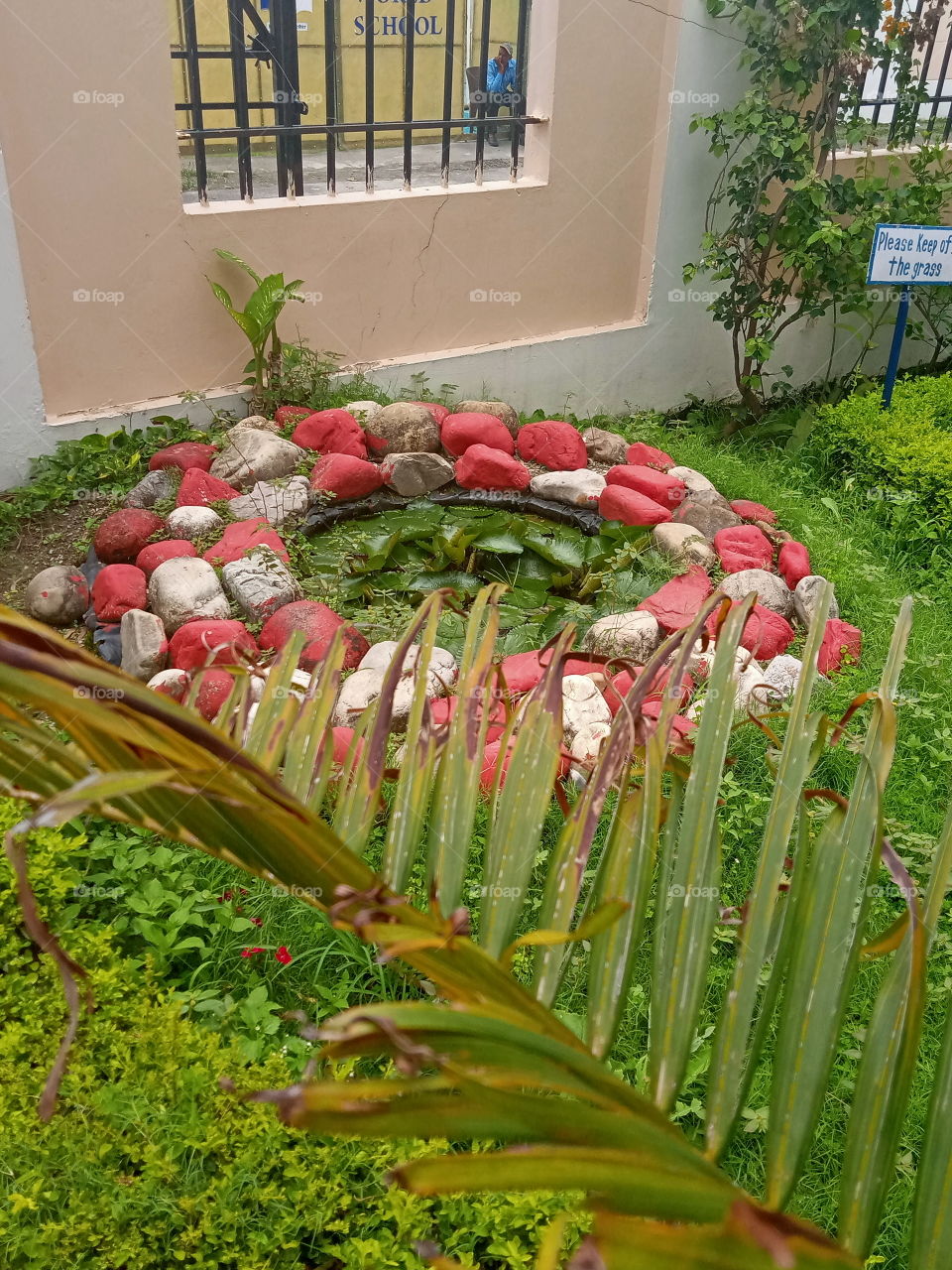 In the corner of the lawn