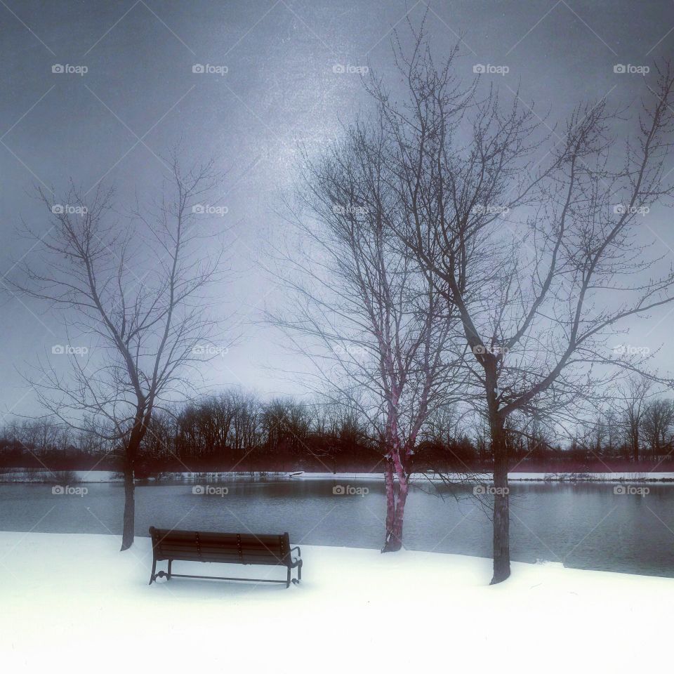 park pension window with lake and trees