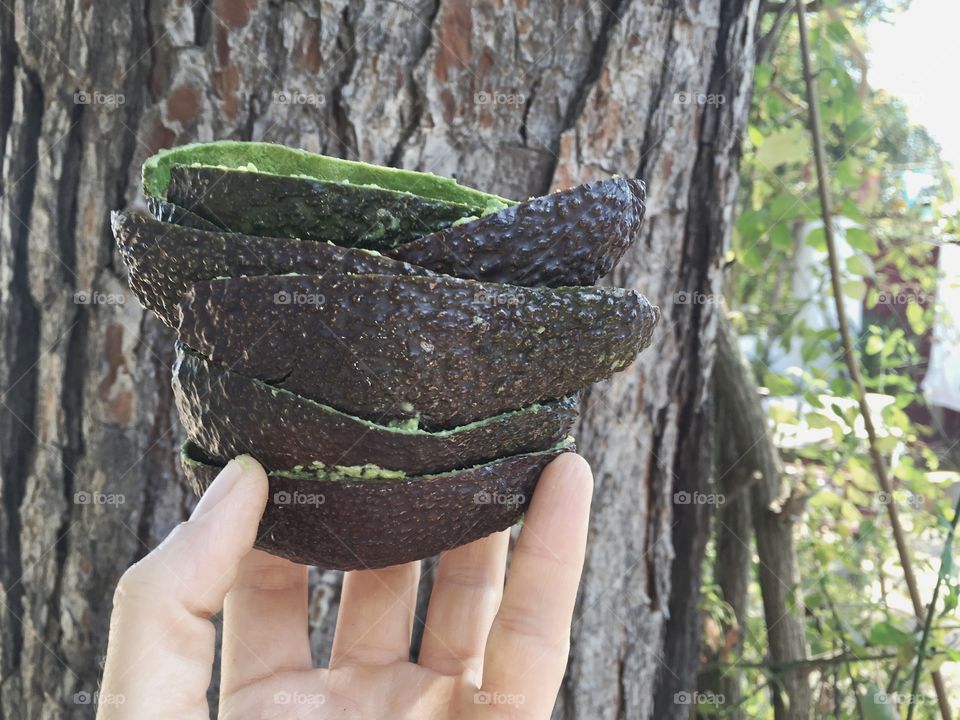 Stacked avocado shells