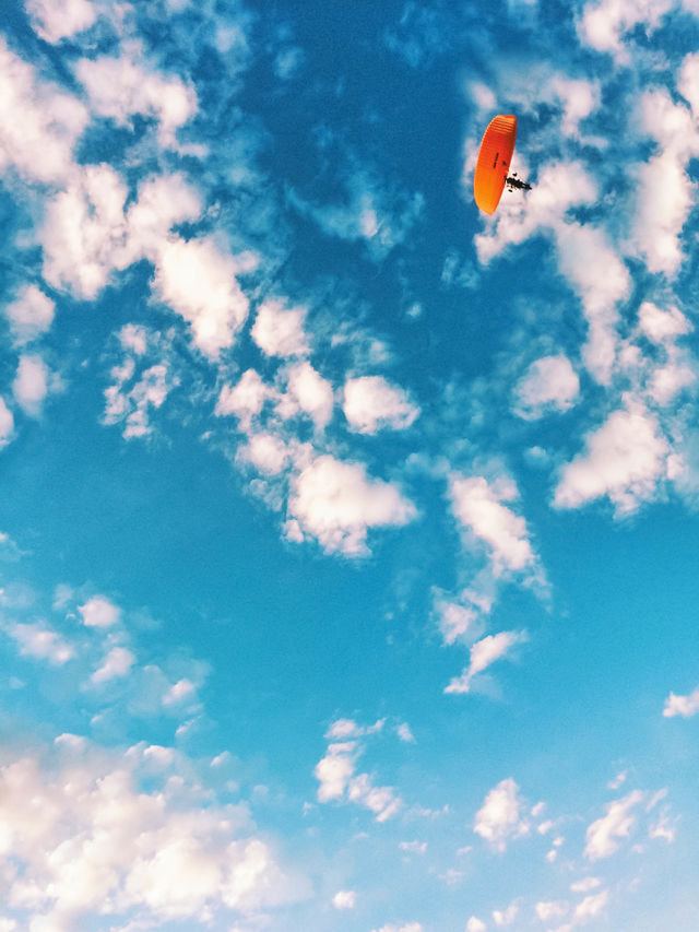 Paraglitter. Glider in the sky above the town
