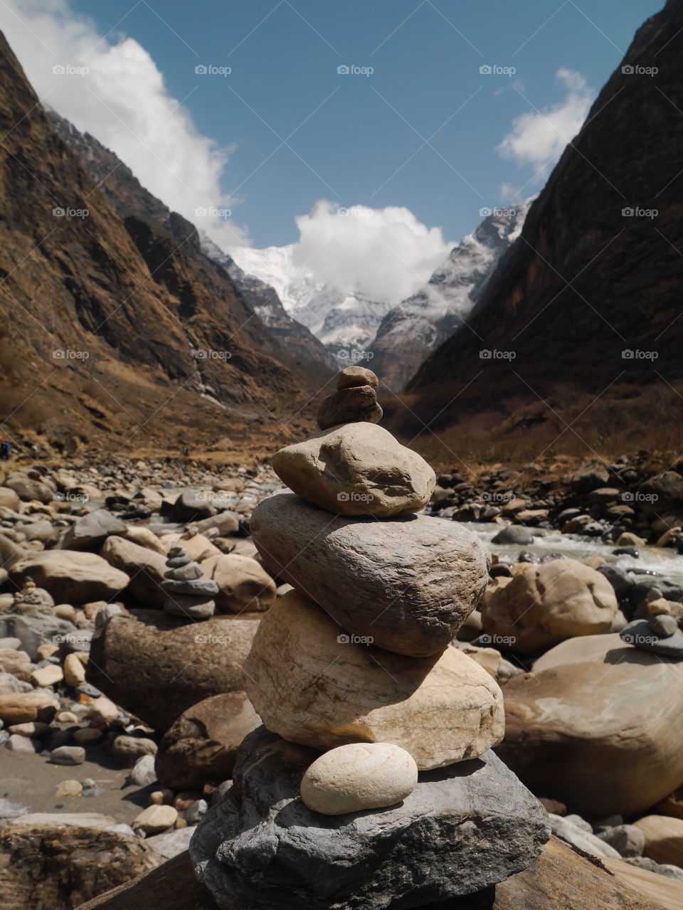 Nepal Himalayans
