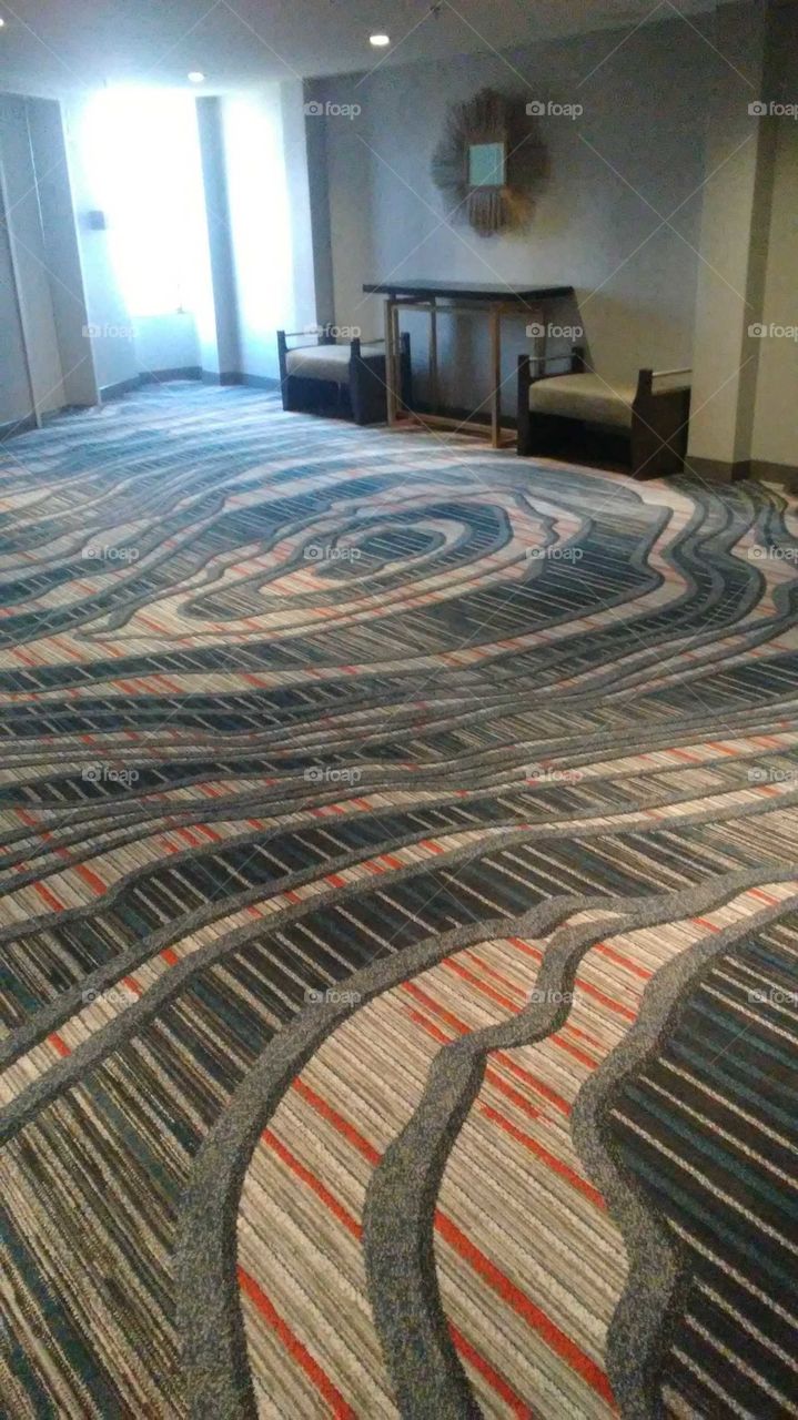 Hotel in Dallas modern interior hallway.