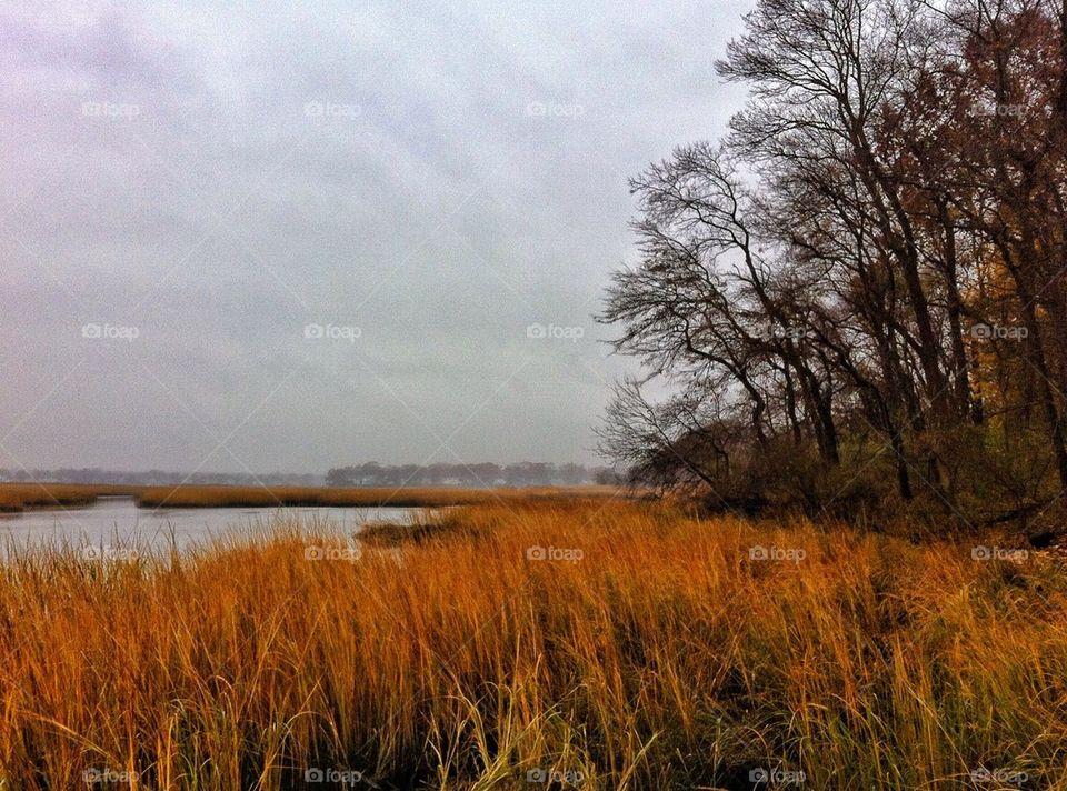 Charles Wheeler Wildlife Preserve 