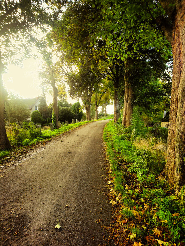 Road