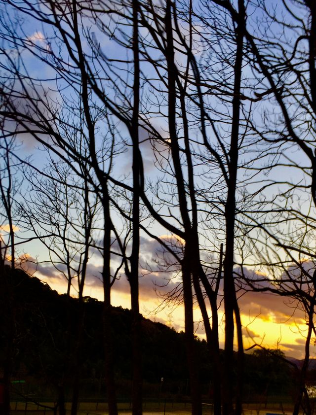 autumn evening