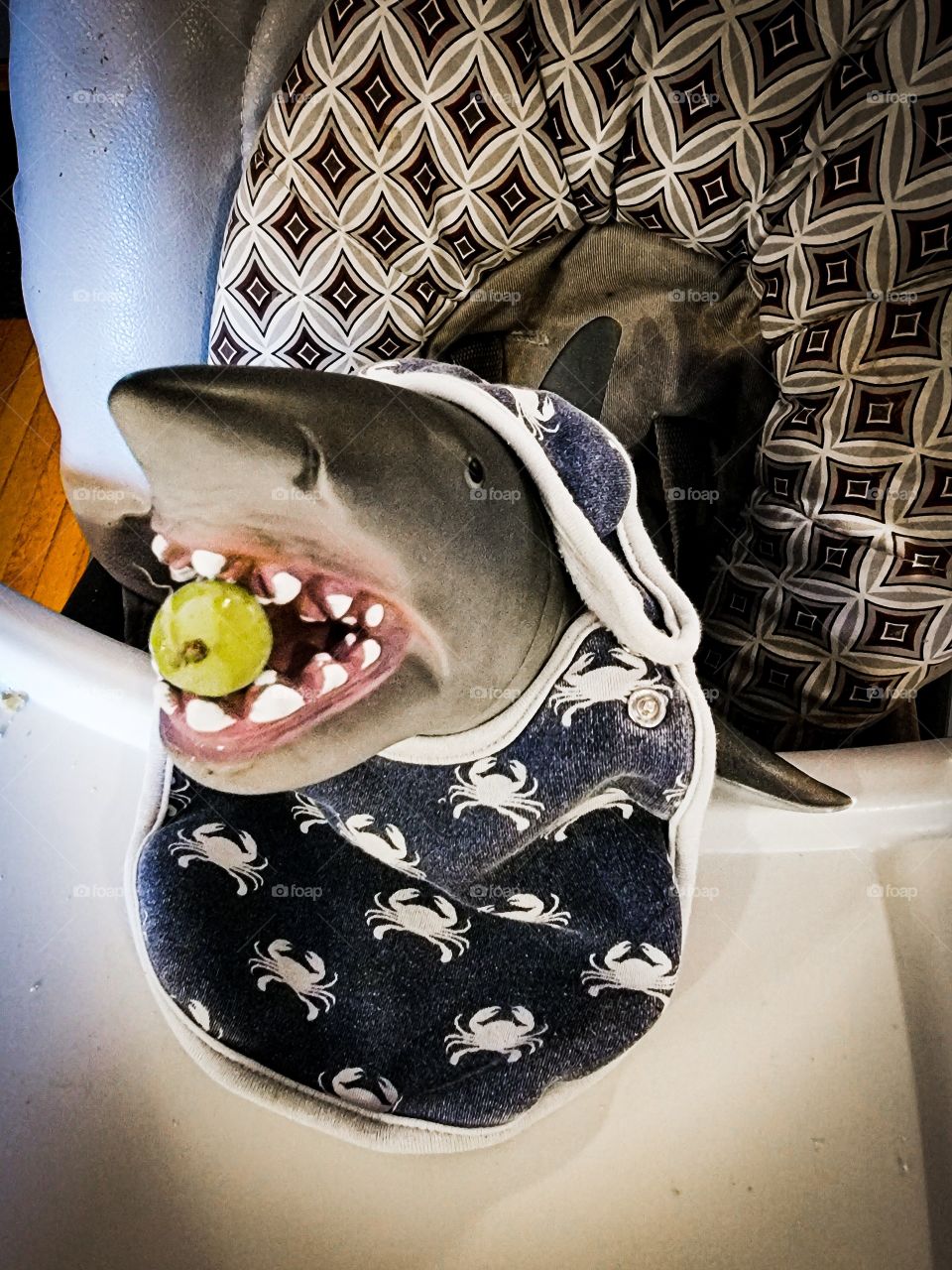 shark eating grape in baby chair