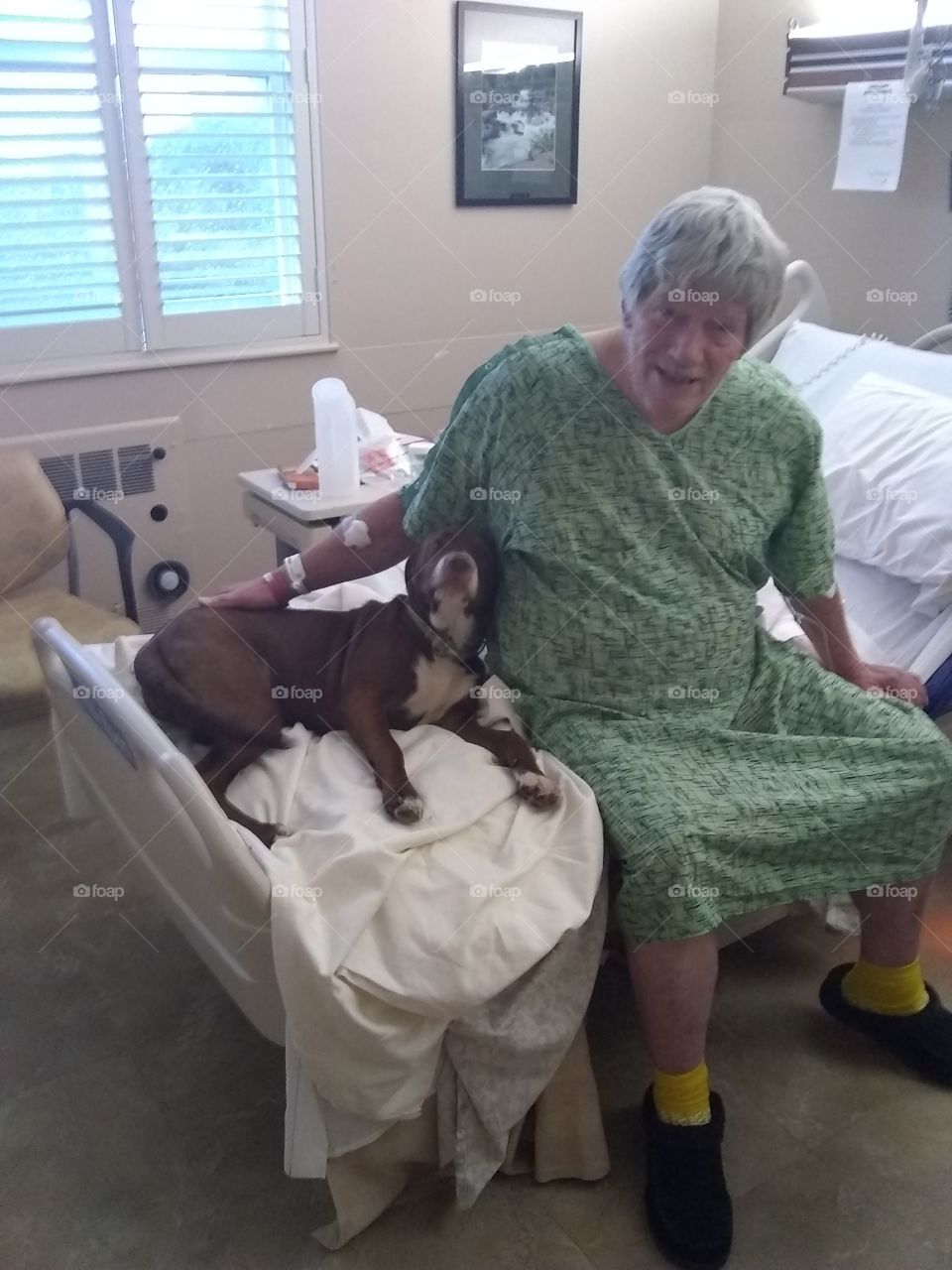 Dog goes into hospital to see patient, healing patients quicker.