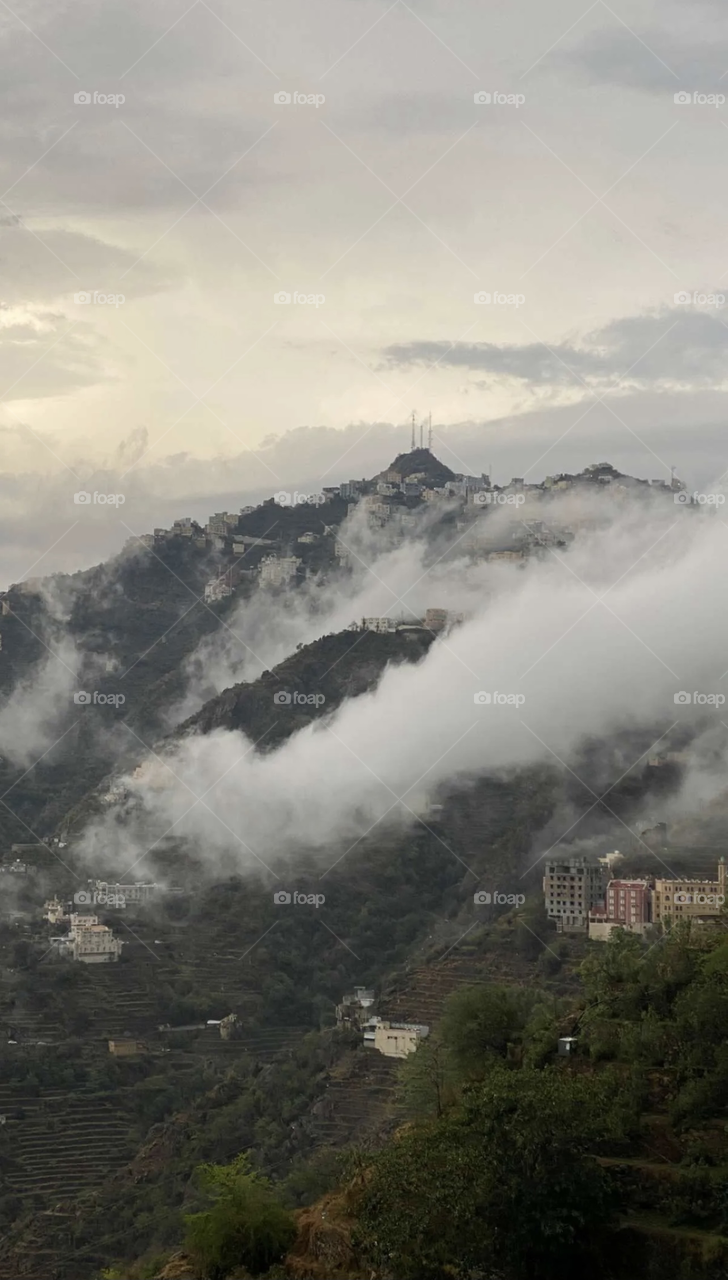 The beauty of nature in FIFA Saudi Arabia