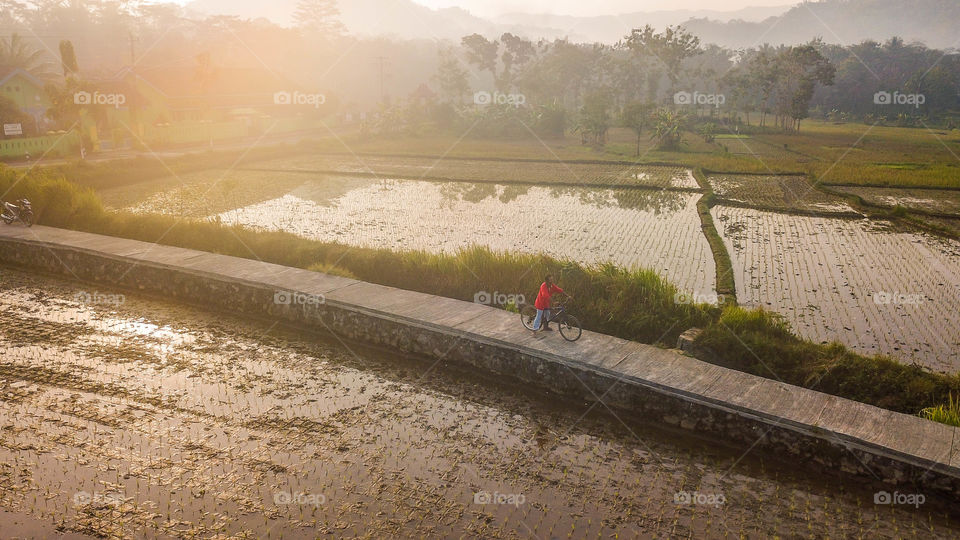 Bird view Industrial road in the middle of a lush rice fields