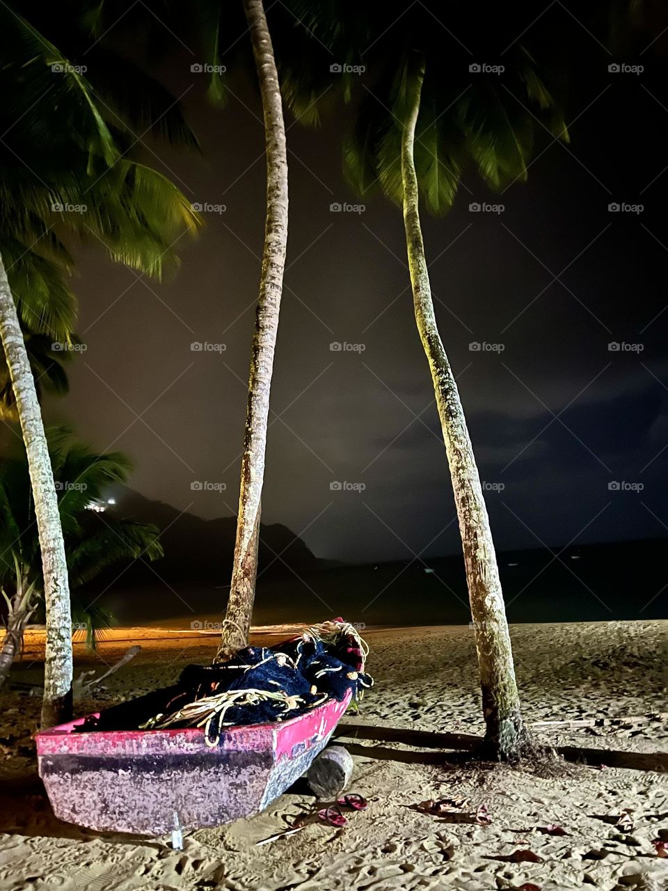 Peaceful nocturnal beach vibes