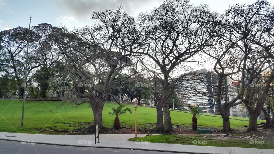 Buenos Aires square. recoleta square