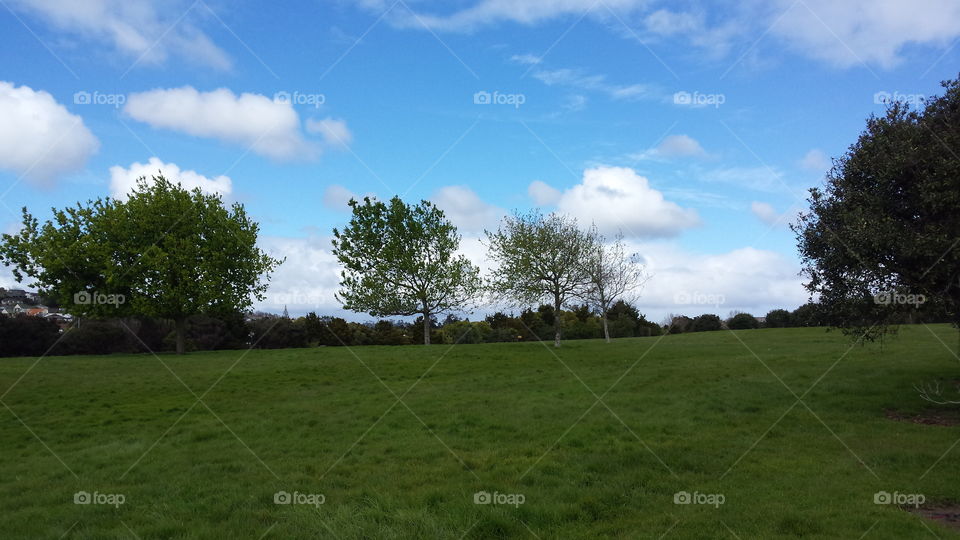Blue sky and Green Grounds