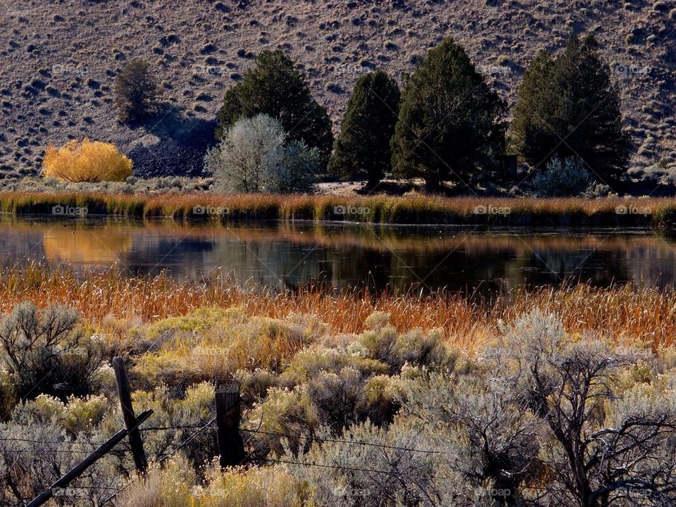 Fall Pond