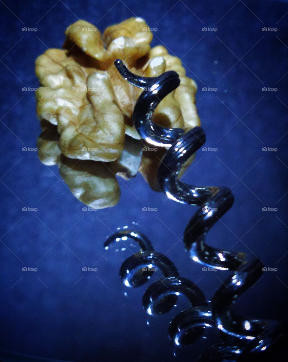 Fantasy.  When the brain is under pressure.  Walnut and metal corkscrew
