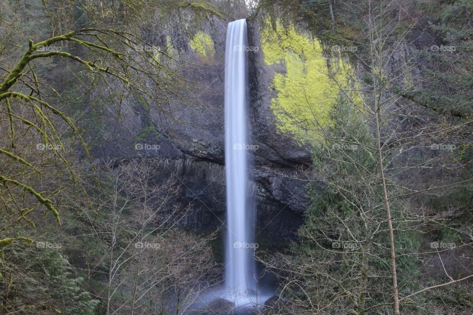 Tranquility and beauty at latourell falls in the Columbia River gorge.