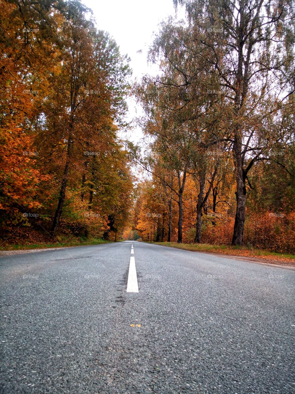 First Signs of Autumn