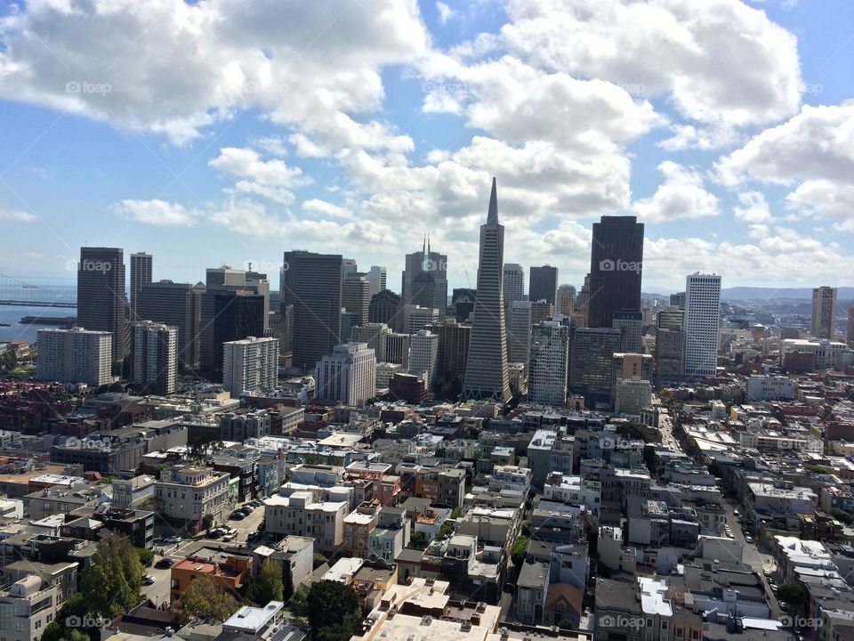 San Francisco from Coit Tower