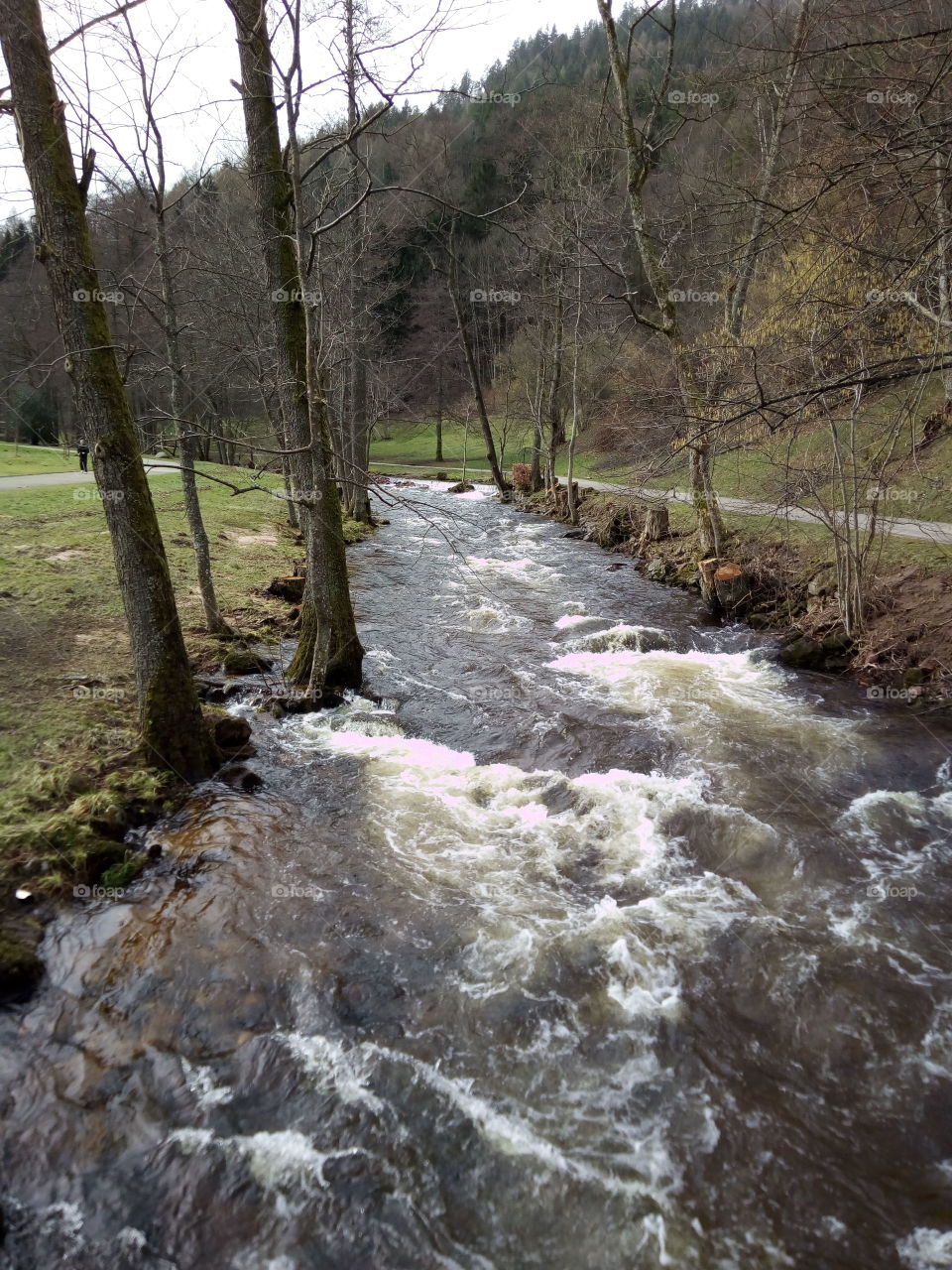 Bad Wildbad in winter 01.2018