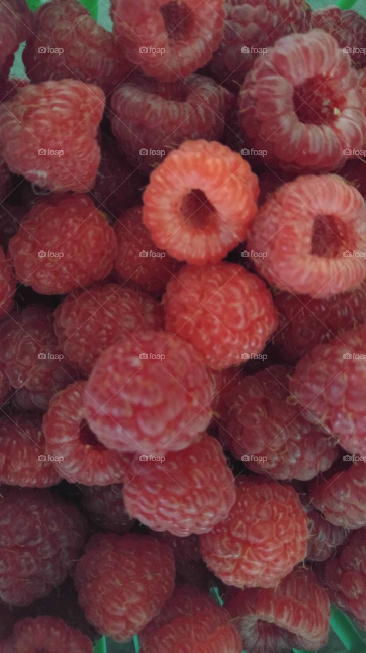 Macro Berries