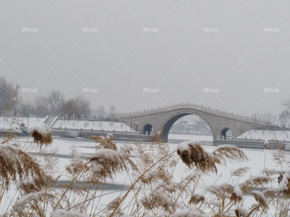 Winter, Snow, Cold, Frost, Weather