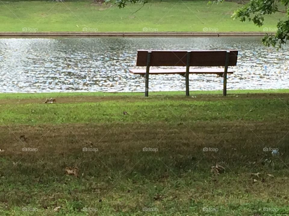 Bench on the water