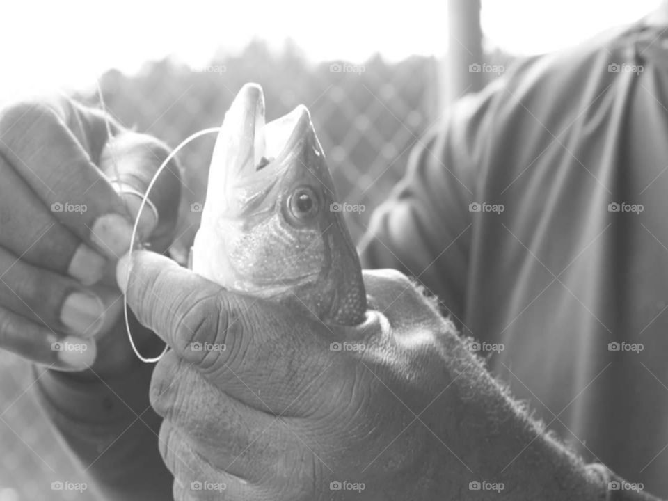 Look what I caught

A grown man caught a medium sized small mouth bass while on the lake.