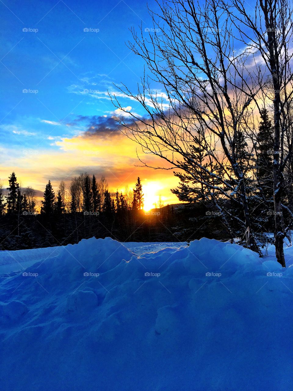 Sunset in snowy landscape