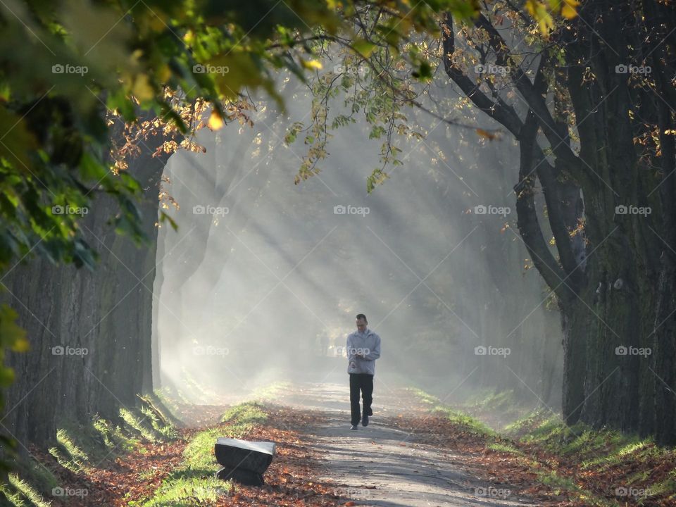 lonely man in a park