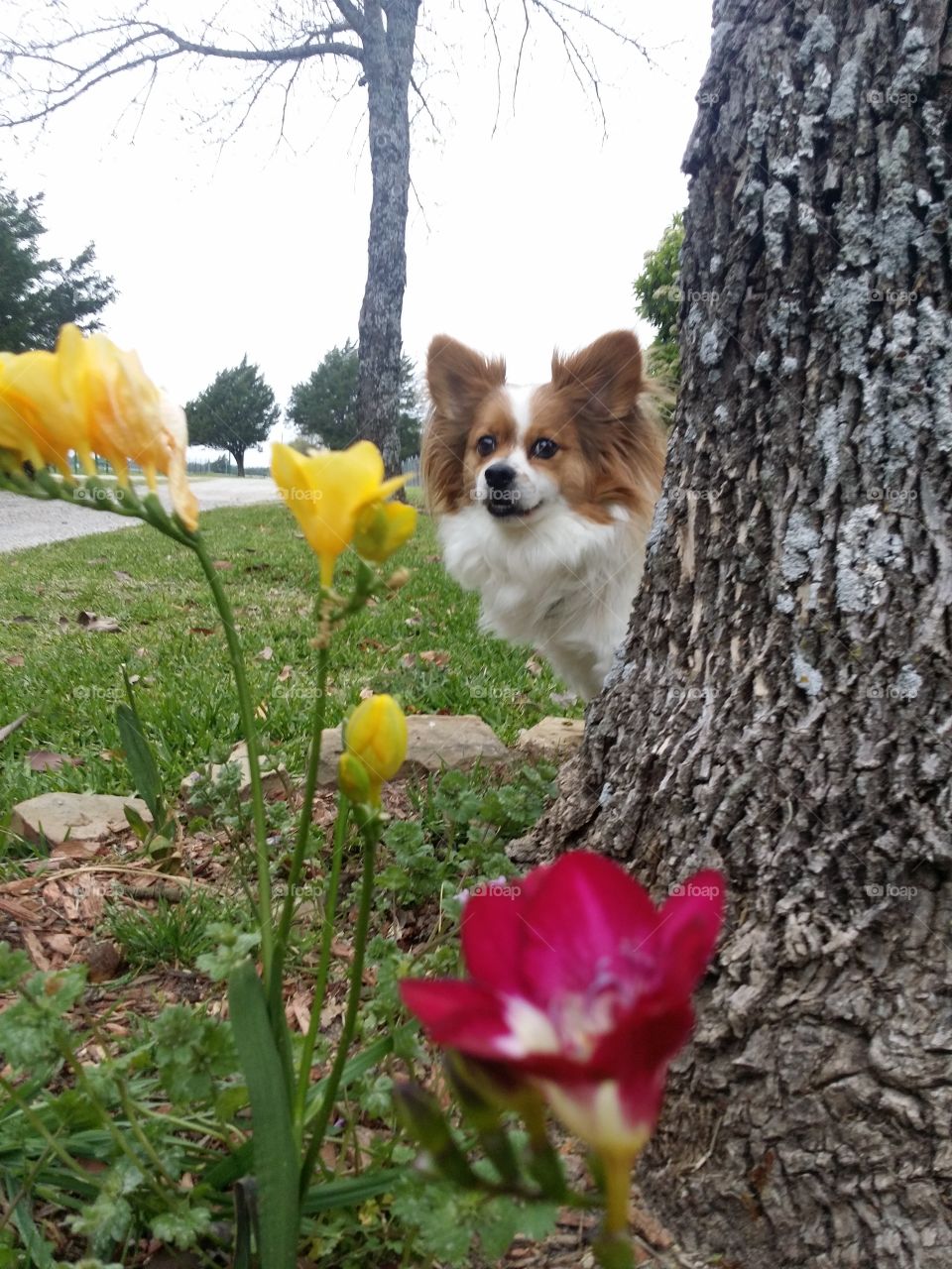 Peek a boo smile