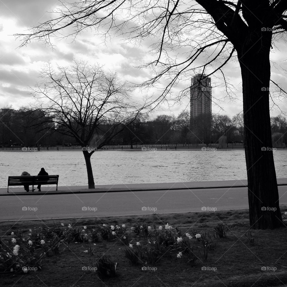 people tree london lake by steftsantilas