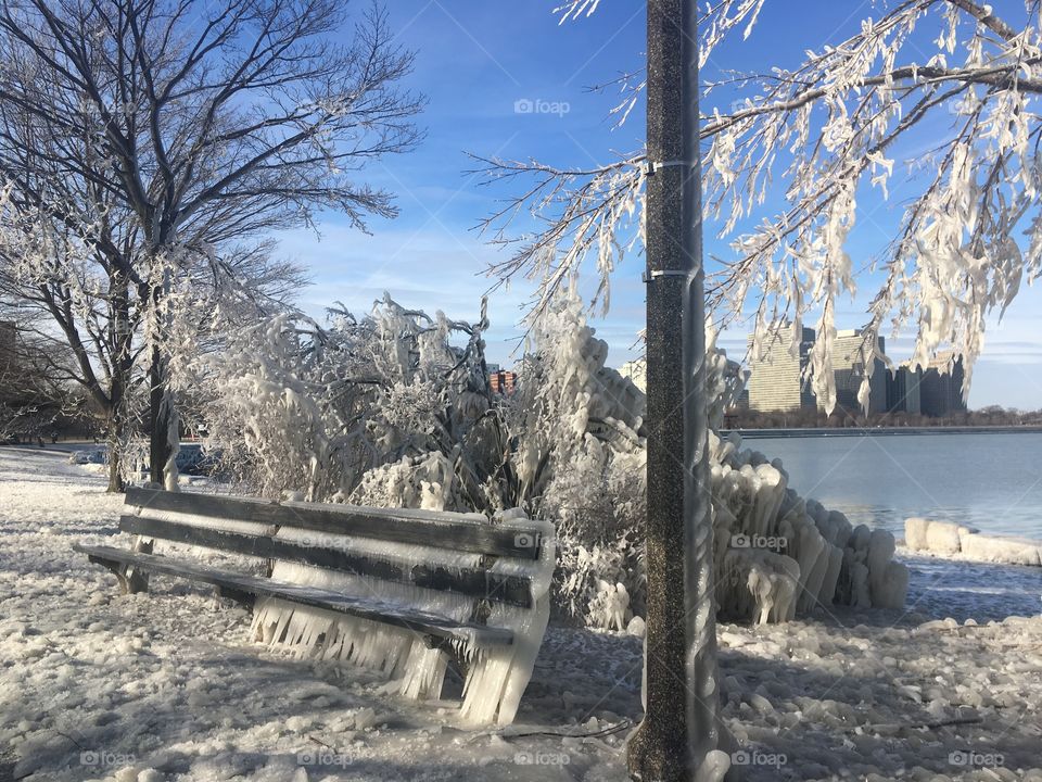 Frozen park bench