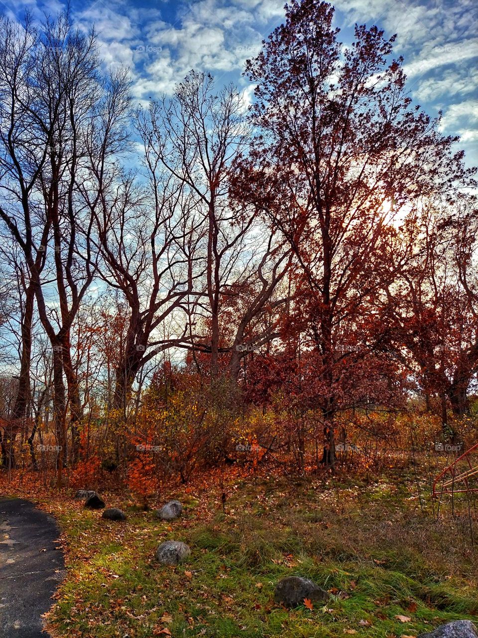 Autumn Colors