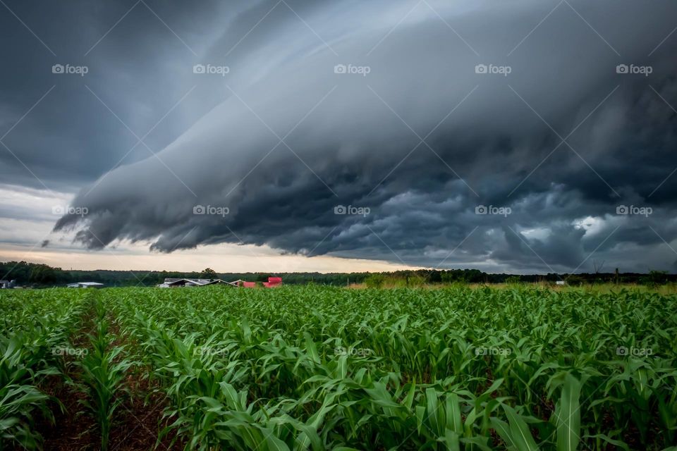 The fingers of an ominous shelf cloud appears to be reaching down to scoop up the farm buildings. Raleigh, North Carolina. 