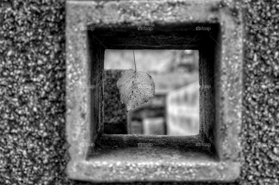 Wall, Old, Picture Frame, Empty, Dirty