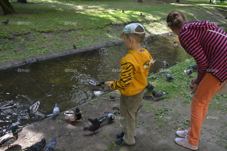 children and birds in the summer city park, family time