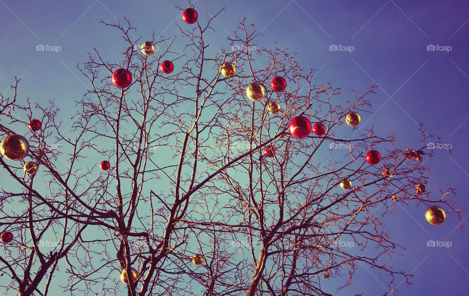 Bright christmas decorations on defoliated tree in Moscow, Russia