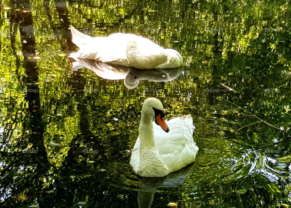 Love its in the air ❤