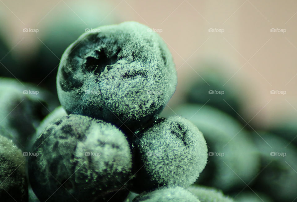 Frozen Blueberries Macro shot