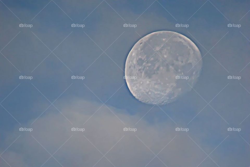 Morning Moon