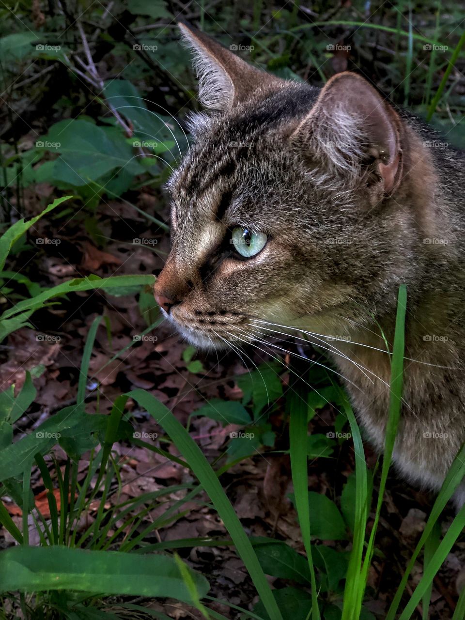 Liena June Portrait