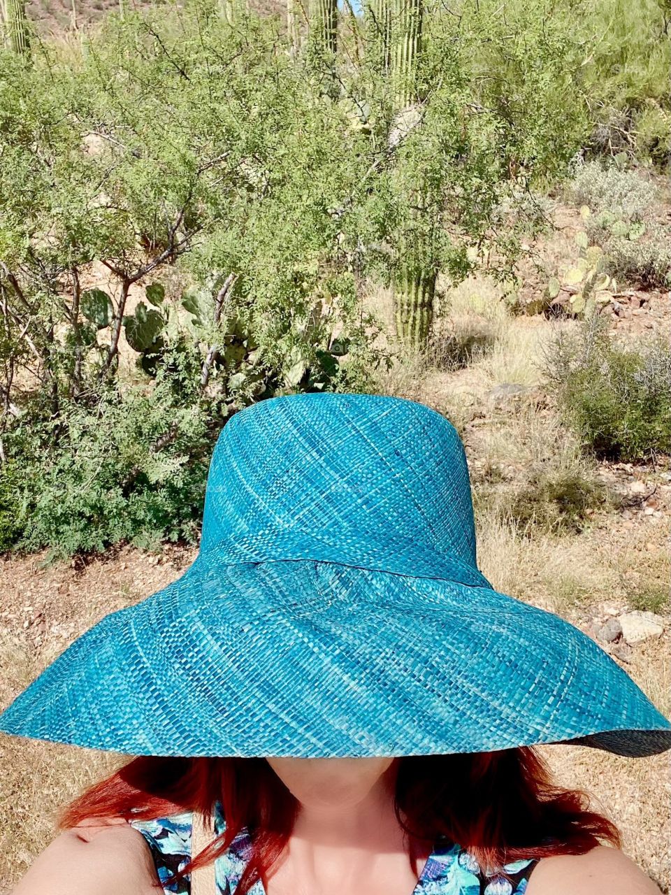 When in the desert wear a large brimmed hat